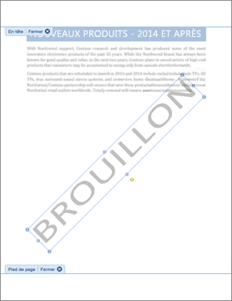 Image d’un document avec le filigrane Brouillon.