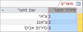 מקטע מסך של הטבלה 'מוצרים'