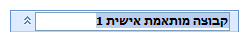 קבוצה מותאמת אישית חדשה בחלונית הניווט