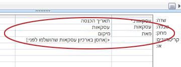 השורה 'מחק' ברשת עיצוב השאילתה