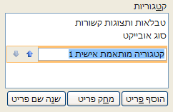 קטגוריה מותאמת אישית חדשה בחלונית הניווט