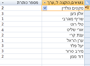 שאילתה הסופרת נושאים שהוקצו לכל אדם