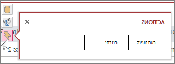 תיבת הדו-שיח 'פעולות' בתצוגת גליון נתונים מקוונת