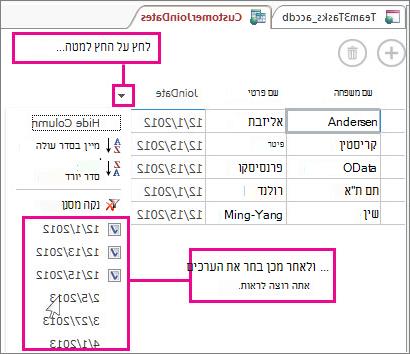 סינון עמודה בשאילתה ביישום Access.