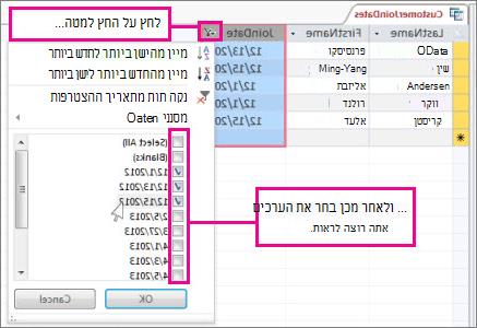 סינון עמודת שאילתה במסד נתונים שולחני.