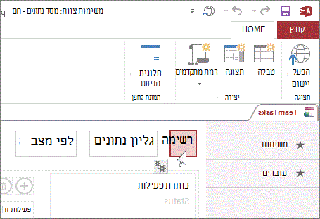בחירת תצוגה ב- Access.