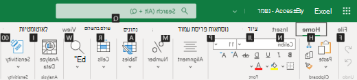 כרטיסיה ברצועת הכלים תיאורי מקשים ב- Excel באינטרנט.