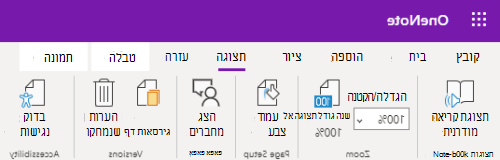 פקדי שינוי גודל התצוגה OneNote באינטרנט האפליקציה.