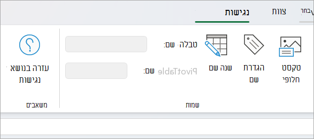 לוח נגישות