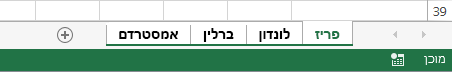 כל גליונות העבודה נבחרו.