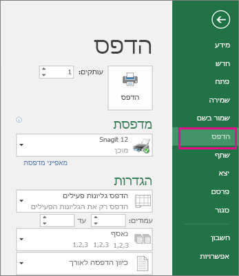 לחץ על 'הדפס קובץ > ' כדי להציג את גליון העבודה בתצוגה מקדימה