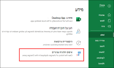 איפוס שינויים ב- Excel באינטרנט