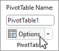 לחצן 'אפשרויות PivotTable'