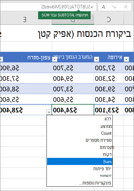 דוגמה לבחירת נוסחת שורת סכום מהרשימה הנפתחת של נוסחת שורת הסכום הכולל