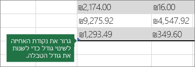 גרור את נקודת האחיזה לשינוי גודל כדי לשנות את גודל הטבלה
