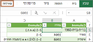 בחירת תא בשאילתה כדי לחשוף את הכרטיסיה 'שאילתה'