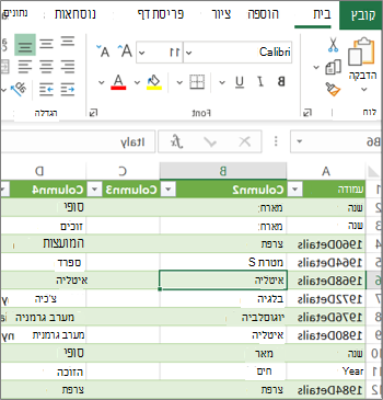 גליון עבודה טיפוסי של Excel