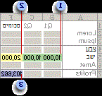 לפני הערכת Solver