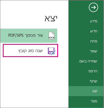 שינוי סוג קובץ בכרטיסיה 'ייצוא'