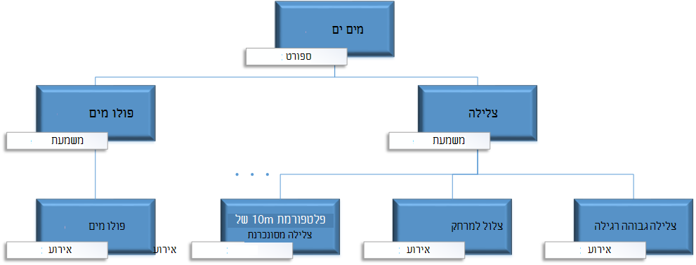 ההירארכיה הלוגית בנתוני המדליות האולימפיות