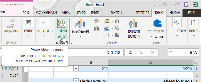 הוסף דוח Power View