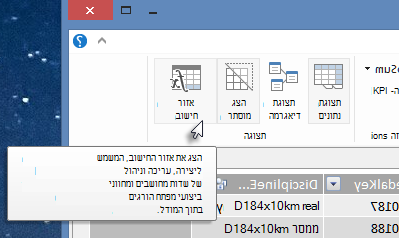 אזור החישוב ב- PowerPivot