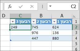 הקלדת ערך בתא משמאל לטבלה מוסיפה עמודה