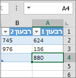 הוספת שורה על-ידי הקלדה בשורה הראשונה מתחת לטבלה
