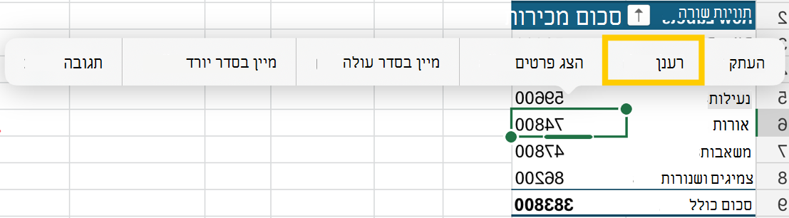 רענן PivotTable מהתפריט תלוי ההקשר ב- iPad.