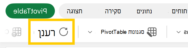 לחצן רענון PivotTable ברצועת הכלים ב- iPad.