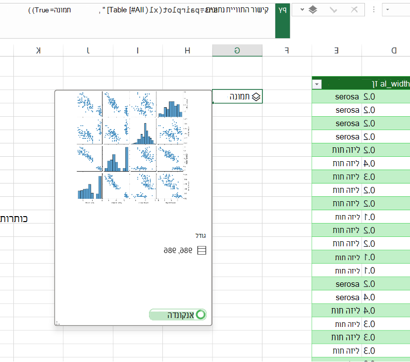 ראה את התצוגה המקדימה של התוויית הנתונים ב- DataFrame.