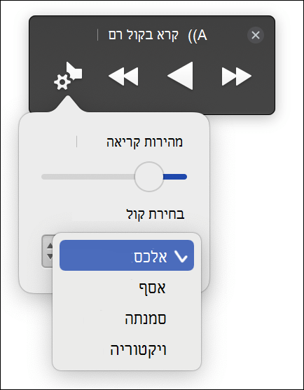 ארבע אפשרויות בחירה קוליות מוצגות עבור תצוגת קריאה מודרנית התכונה 'קרא בקול רם'