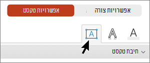 תיבת הטקסט של הכרטיסיה 'אפשרויות טקסט' נבחרה.