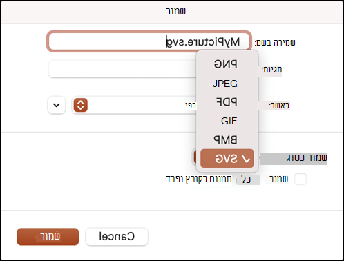 שמור כתיבת דו-שיח ב- PowerPoint 2021 עבור Mac עם האפשרות SVG שנבחרה