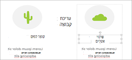 הצגת