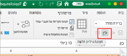 הצגת גיליון אלקטרוני של Excel