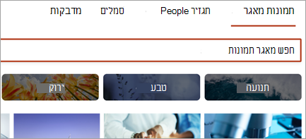 הצגת מאגר תמונות