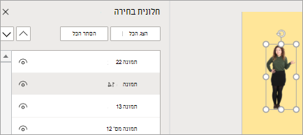 הצגת חלונית הבחירה