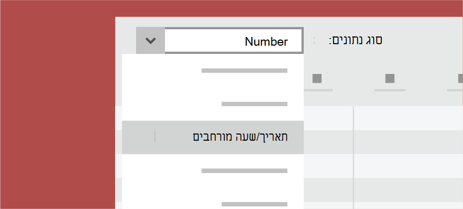 מציג את סוג הנתונים של Access