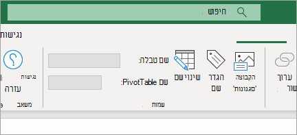 הצגת רצועת כלים של נגישות