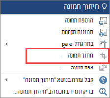 תיבת הדו-שיח 'ספר לי' עם התכונה המבוקשת מעומעמת