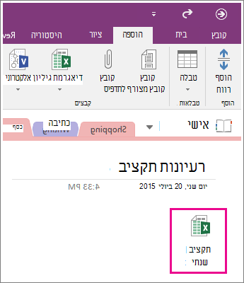 צילום מסך של גיליון אלקטרוני מצורף ב- OneNote 2016.