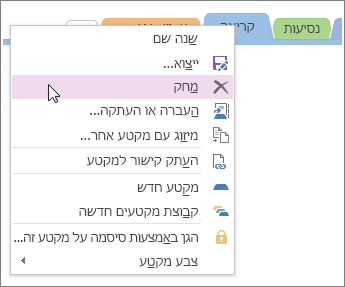 צילום מסך של אופן מחיקת מקטע ב- OneNote 2016.