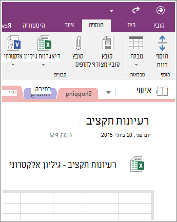 צילום מסך של גיליון אלקטרוני חדש ב- OneNote 2016.