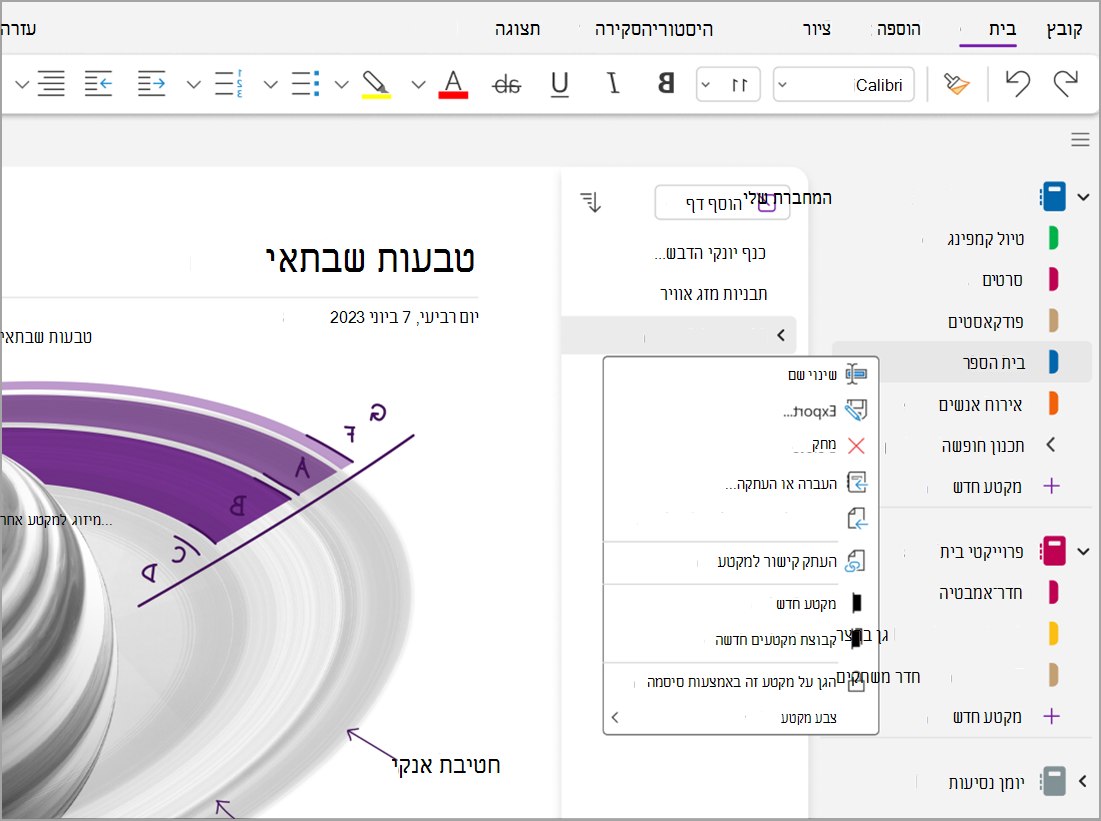 הגנה על צילום המסך של הסיסמה one.png