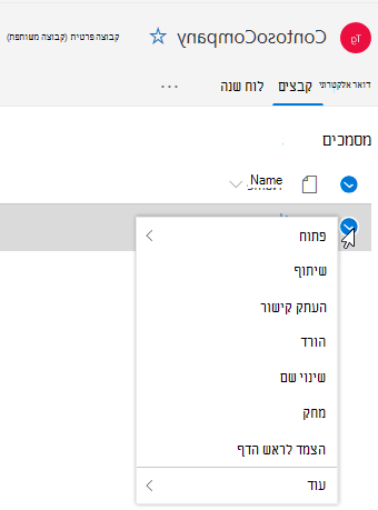 הצגת אפשרויות 'מחק' ו'שנה שם קובץ'