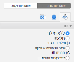 בחר 'ללא מילוי' תחת 'אפשרויות צורה'