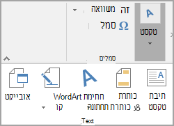 בחירה מהקבוצה 'טקסט'