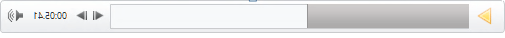 פקדי ההפעלה עבור וידאו בשקופית של PowerPoint