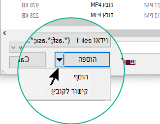 בתיבת הדו-שיח הוספת וידאו, עליך לבחור בין הוספה (כלומר הטבעה) או קישור לקובץ.